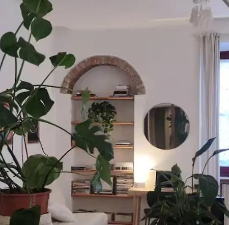 Salone's House